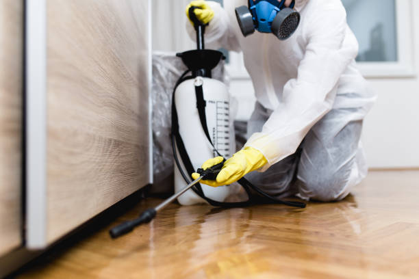Best Pest Inspection Near Me  in Bushnell, FL
