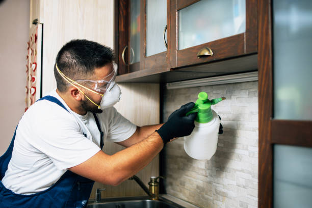 Best Insect Control  in Bushnell, FL