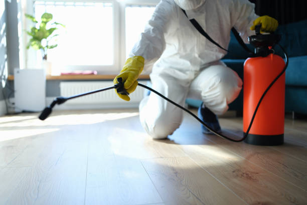 Best Pest Control Near Me in Bushnell, FL