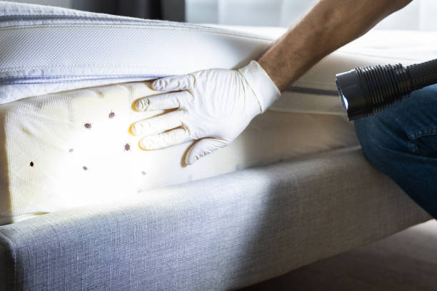 Best Pest Removal Services  in Bushnell, FL