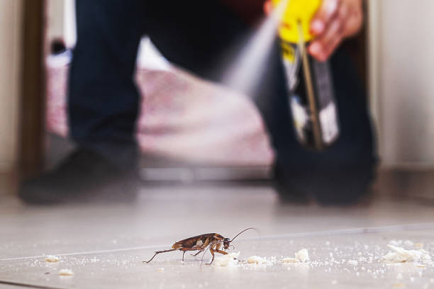 Best Commercial Pest Control Services  in Bushnell, FL