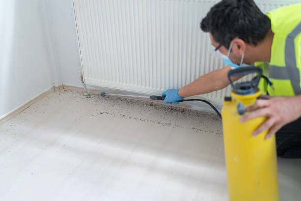 Reliable Bushnell, FL Pest Control Solutions