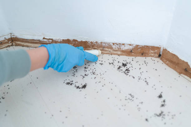 Best Pest Control Near Me  in Bushnell, FL